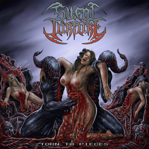 Silent Torture : Torn to Pieces